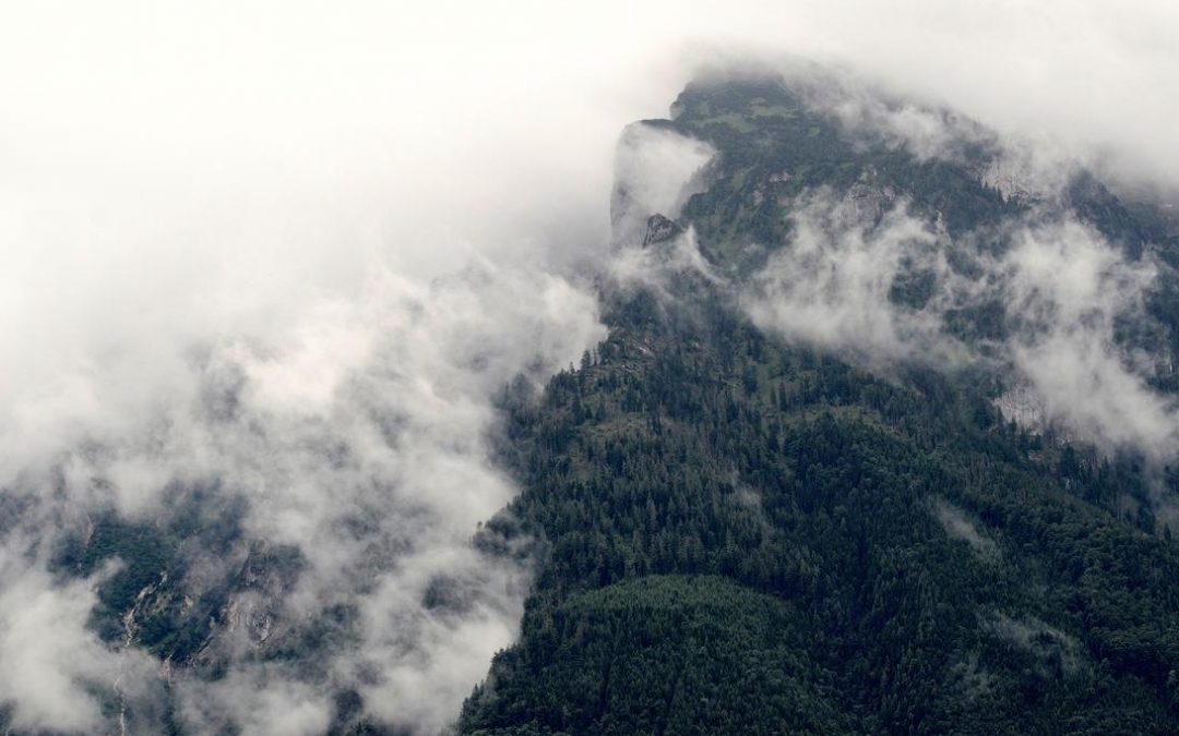 Sint magni enim optio est voluptatem pariatur