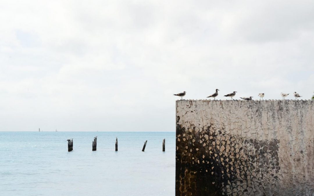 Cum consequuntur cumque officiis